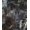 Black, variant on Posterazzi DPI1785291LARGE Black Timber Wolf Poster Print by John Pitcher, 26 x 30 - Large