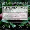 thumbnail image 4 of Suplemento de energía Vitality Extract BioImmersion, 60 cápsulas, 4 of 8