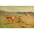thumbnail image 2 of Rungius, Carl 24x17 Black Modern Framed Museum Art Print Titled - Pronghorns, 2 of 4