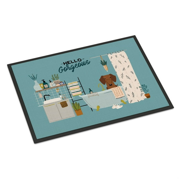 Red Brown Dachshund in Bathtub Indoor or Outdoor Mat 24x36 CK7552JMAT