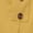 Yellow, variant on A line Skirts Women Button Spring Summer Age Reduction Solid Color Version Elastic Waist Mid Length Casual Womens Skirt Black One Size