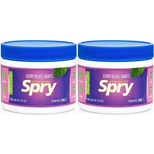Xylitol Mints, Berry Blast, 240 Count (2-Pack) - Breath Mints That Promote Oral Health, Increase Saliva Production, and Stop Bad Breath