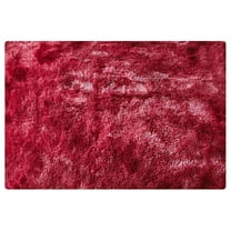 Moocorvic Washable Rug Fluffy Rug Kitchen Rugs Soft Furry Rugs for Living Room,Bedroom,Baby Nursery Decor,Rug for Bedroom,Durable Fuzzy Throw Carpet for Dorm Floor,