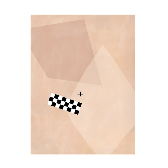 Trademark Fine Art Elena Ristova softpink17 Canvas Wall Art