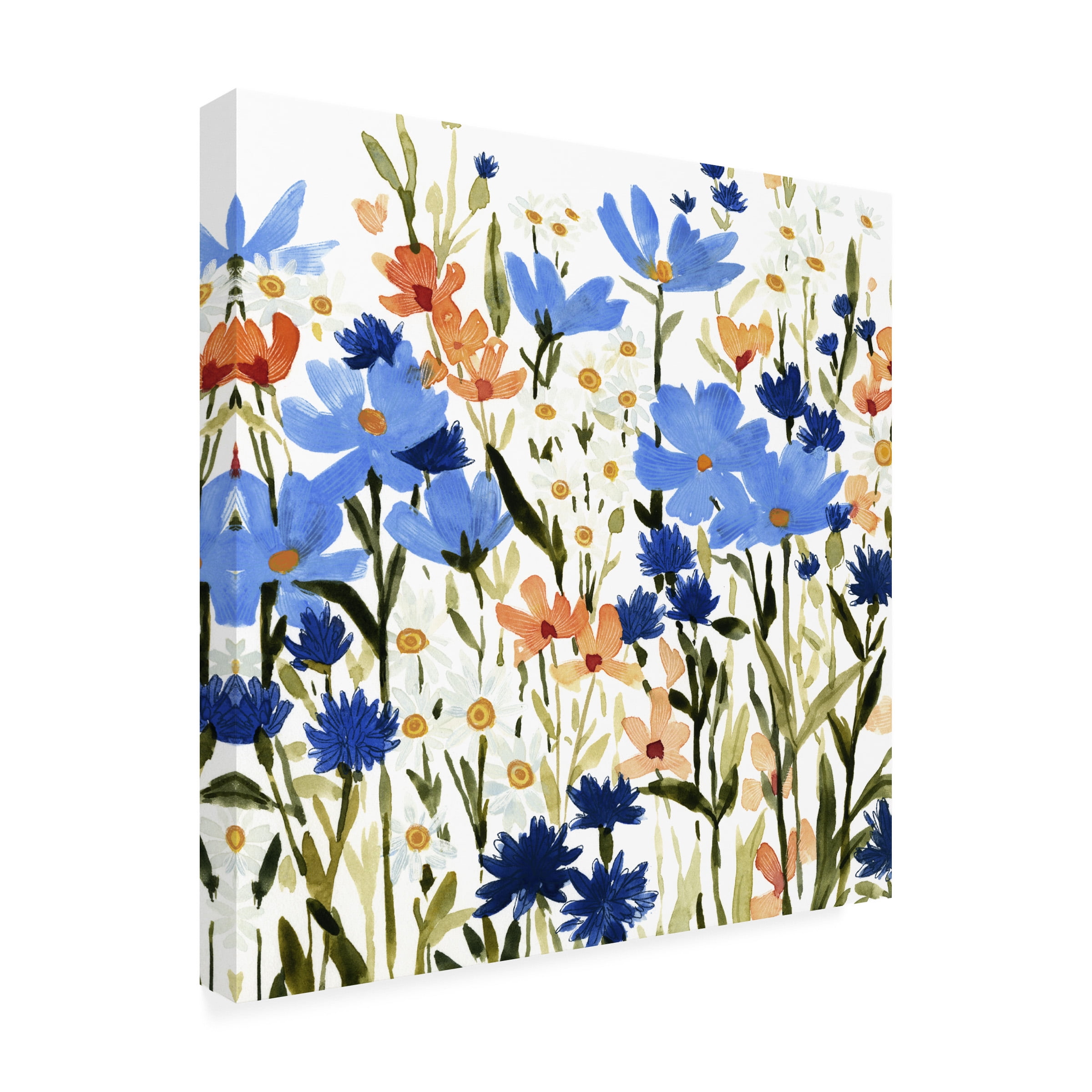 Emma Caroline 'Bright Wildflower Medley III' Canvas Art