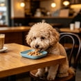 thumbnail image 6 of NWQKYZGH 1PCS Square Pet Food Plates Shallow Wide Design Easy To Clean Snack Feeding Bowl for Dry Food Wet Food Treats for Small Mediums and s -5.71x5.71in, 6 of 6