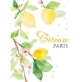 thumbnail image 3 of Loreth, Lanie 11x14 Black Modern Framed Museum Art Print Titled - Spring Citron In Paris, 3 of 5