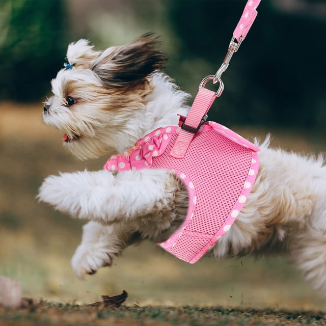 unbranded 1Jgo Arnés Rosa Para Mascotas Resistente Con Correa Ajustable Para Perros Y