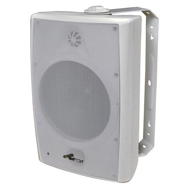 Audiopipe 8in Indoor/Outdoor Speakers