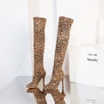 thumbnail image 6 of Fesfesfes Womens Boot Leopard Print Pointed Toe Slim And Warm Super High Heel Over-the-knee US:8.5(41), 6 of 9