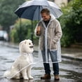 thumbnail image 4 of Clear Poncho Rain, Hooded Dog Raincoat Poncho, EVA Waterproof Dog Rain Coat for Small Medium Dogs Walking Outdoor Outing, 4 of 4