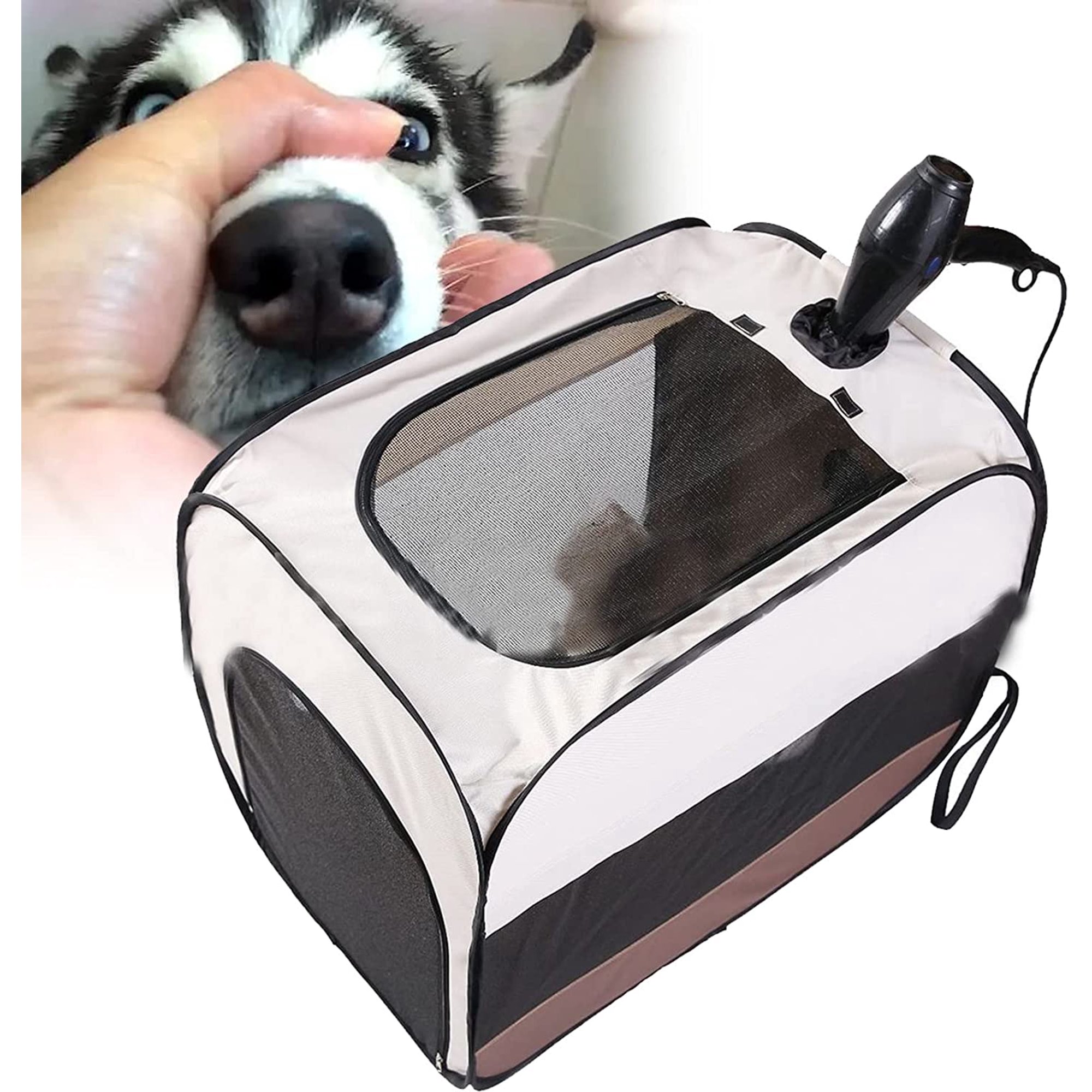 Why Do Dogs Not Like To Be Blown On