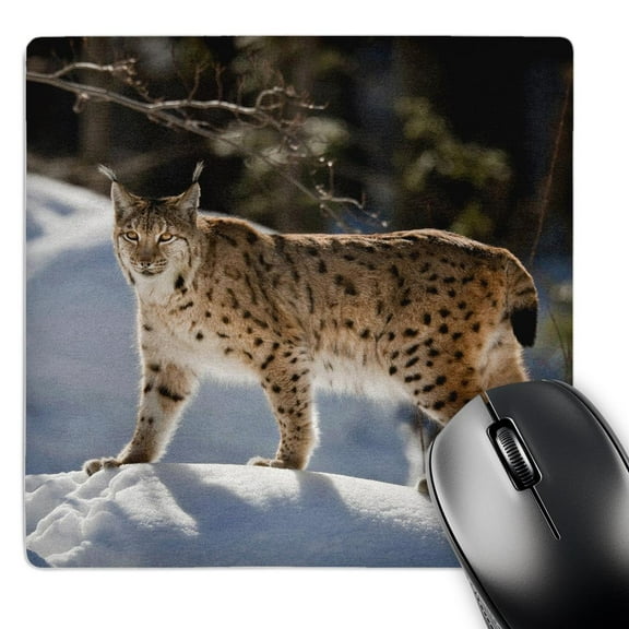 3dRose, Eurasian Lynx, Bayerischer Wald, Bavaria, Germany - EU10 MZW0059 - Martin Zwick, MousePad