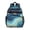 Blue Marble Gold-1, variant on Blue Marble Gold Wave Pattern Backpack for School,Cute School Bag,Schoolbag with Adjustable Shoulder Straps & Padded Back,15.25"x11.5"x5.25"