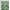 Green, variant on oneOone Polyester Lycra Green Fabric Leaves Sewing Craft Projects Fabric Prints By Yard 56 Inch Wide