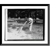 Historic Framed Print, Zoo: raccoon, 17-7/8" x 21-7/8"