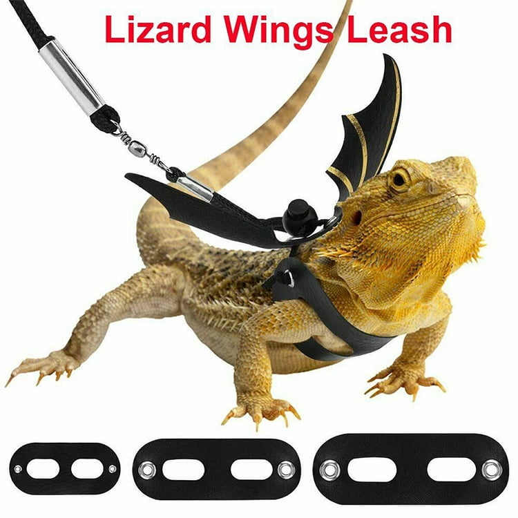 LPOQW Turtle Harness and Leash Reptile Harness Leather Reptile Leash Adjustable Collar Leash Tortoise Walking Lead Control Rope,Black