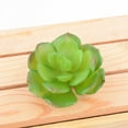 thumbnail image 4 of 10x Fake Succulents Small Vivid Useful Simulated Plants Multi-functional Lifelike Photo Props for Household Yards Lawn Flowerpot Type 23, 4 of 9