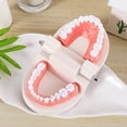 thumbnail image 4 of 1 Ensemble Modèle de Soin des Dents Modèle de Brossage des Dents Modèle Éducatif pour Enfants, 4 of 9