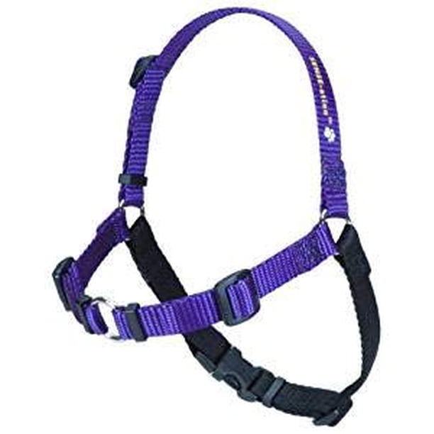 Arnés de adiestramiento para perros The Original Sense-ation Purple XS