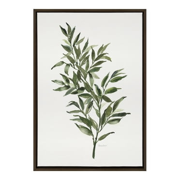 Patricia Shaw Ruscus 23x23 Framed Canvas Wall Art by Bellamy