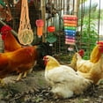 thumbnail image 5 of 7 Pcs Chicken Toys for Coop, Chicken Xylophone, Swing Set, Mirror Toy, Flexible Ladder, Vegetable String Bag and Hanging Feeder, 5 of 6