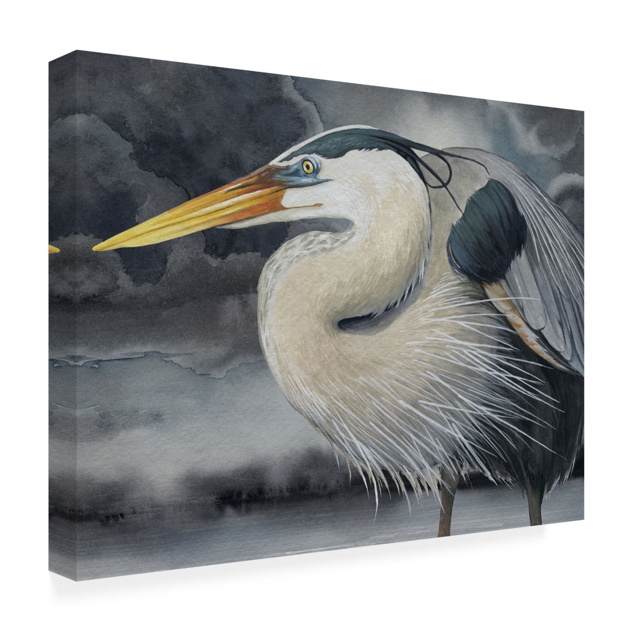 Trademark Fine Art Grace Popp  Stormy Blue II Canvas Wall Art