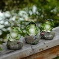 thumbnail image 6 of Frog Garden Statues?3 Pack?Random? 5 Inch Frogs Sitting on Stone Sculptures Outdoor Decor Fairy Garden Ornaments, 6 of 6