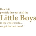 thumbnail image 1 of Gold 31" x 17" Picniva How is IT Possible That Out of All The Little Boys Kids Room Sayings Words Art Decor Lettering Vinyl Wall Art Inspirational Uplifting, 1 of 1
