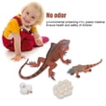 thumbnail image 3 of Ensemble de Modèles de Cycle de Vie d'Iguane, Figurines d'Animaux Réalistes Modèle de Croissance d'Iguane Ornement de Protection Environnementale Inodore pour l'Éducation Précoce, 3 of 7