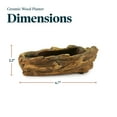 thumbnail image 5 of Ceramic Wood Plant Pot | Indoor Planter for Succulents & Flowers (Driftwood Whale), 5 of 5