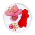 thumbnail image 2 of Decoración 3D Zulema Flores Secas Naturales Para Uñas Acrílicas, 2 of 5