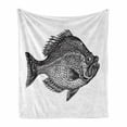 thumbnail image 1 of Fish Soft Flannel Fleece Throw Blanket, Vintage Design Rock Bass Fish Hand Drawn in Black and White Aquatic Image, Cozy Plush for Indoor and Outdoor Use, 70" x 90", Black White, by Ambesonne, 1 of 6