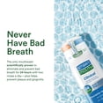 thumbnail image 6 of SmartMouth DDS Activated Clinical Mouthwash - for Fresh Breath - Clinical Strength Mouthwash for Gum Health, Gingivitis & More - Clean Mint Flavor, 16 fl oz (2 Pack), 6 of 9