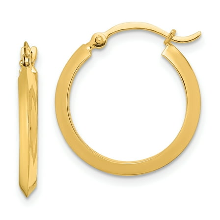 Primal Gold 14 Karat Yellow Gold Hoop Earrings