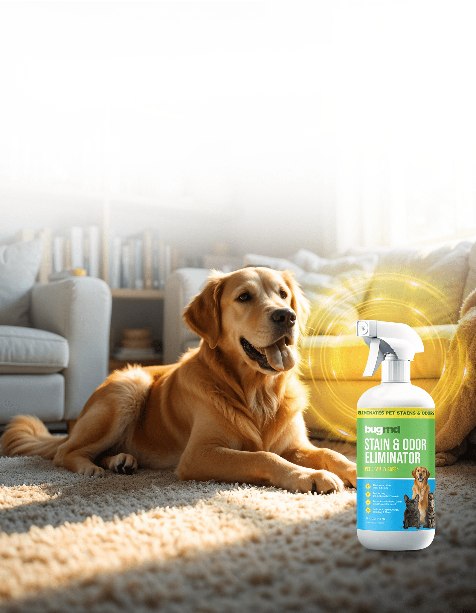 BugMD Stain & Odor Eliminator 32oz