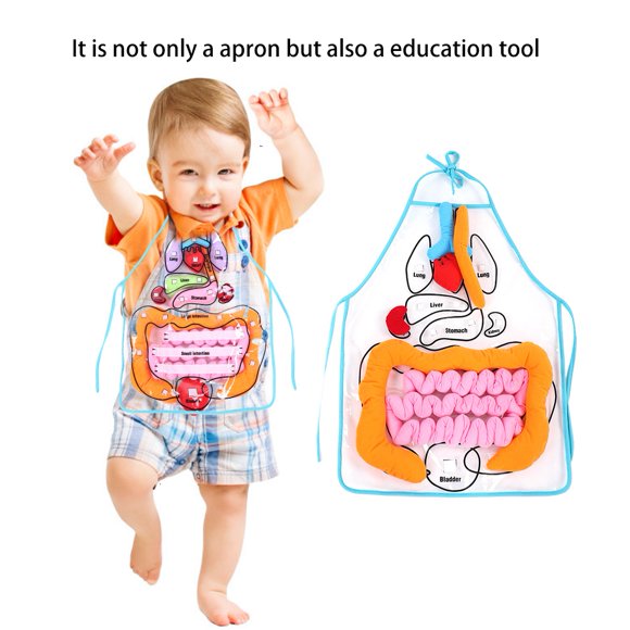3D Organ Apron, Educational Apron, Kids Viscera Teaching Apron For Children For Kids Intellectual Development