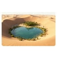 thumbnail image 1 of Tapis d'Entrée en Velours Super Absorbant Non Lavable pour Salle de Bain et Maison, 1 of 5