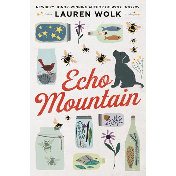 Pre-Owned Echo Mountain Paperback