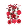 thumbnail image 4 of segolike Dried Pressed Flowers Craft Making Beautiful Real Dried Flowers for Scrapbooking Red, 4 of 9