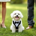 thumbnail image 4 of Esmoquin único para perros de Unique Bargains, traje de esmoquin con corbata de moño, disfraces para perros pequeños, atuendo formal para fiestas, Halloween y Navidad, tamaño XL, negro y blanco, 4 of 7