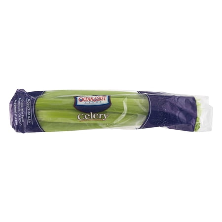 CELERY
