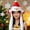 A, variant on Hometravel Animated Airbag Christmas Hat, Cartoon Character Inflatable Santa Hat, Christmas Decoration with Motion Feature for Parties, Gifts, Celebrations