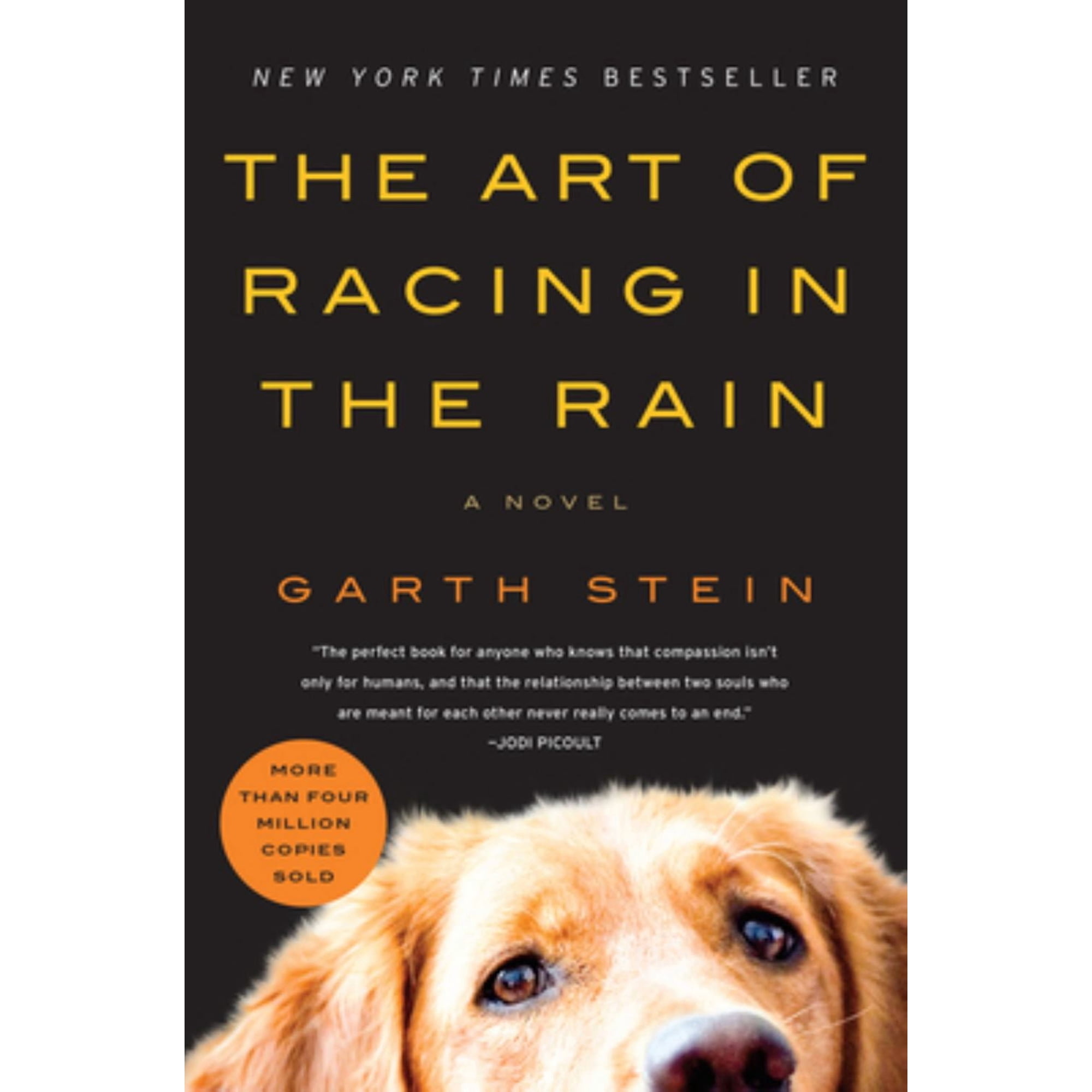 The Art of Racing in the Rain: A Novel (Paperback)