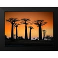 thumbnail image 2 of Ren Rong, Raymond 24x18 Black Modern Framed Museum Art Print Titled - Sunset In Morondava, 2 of 5