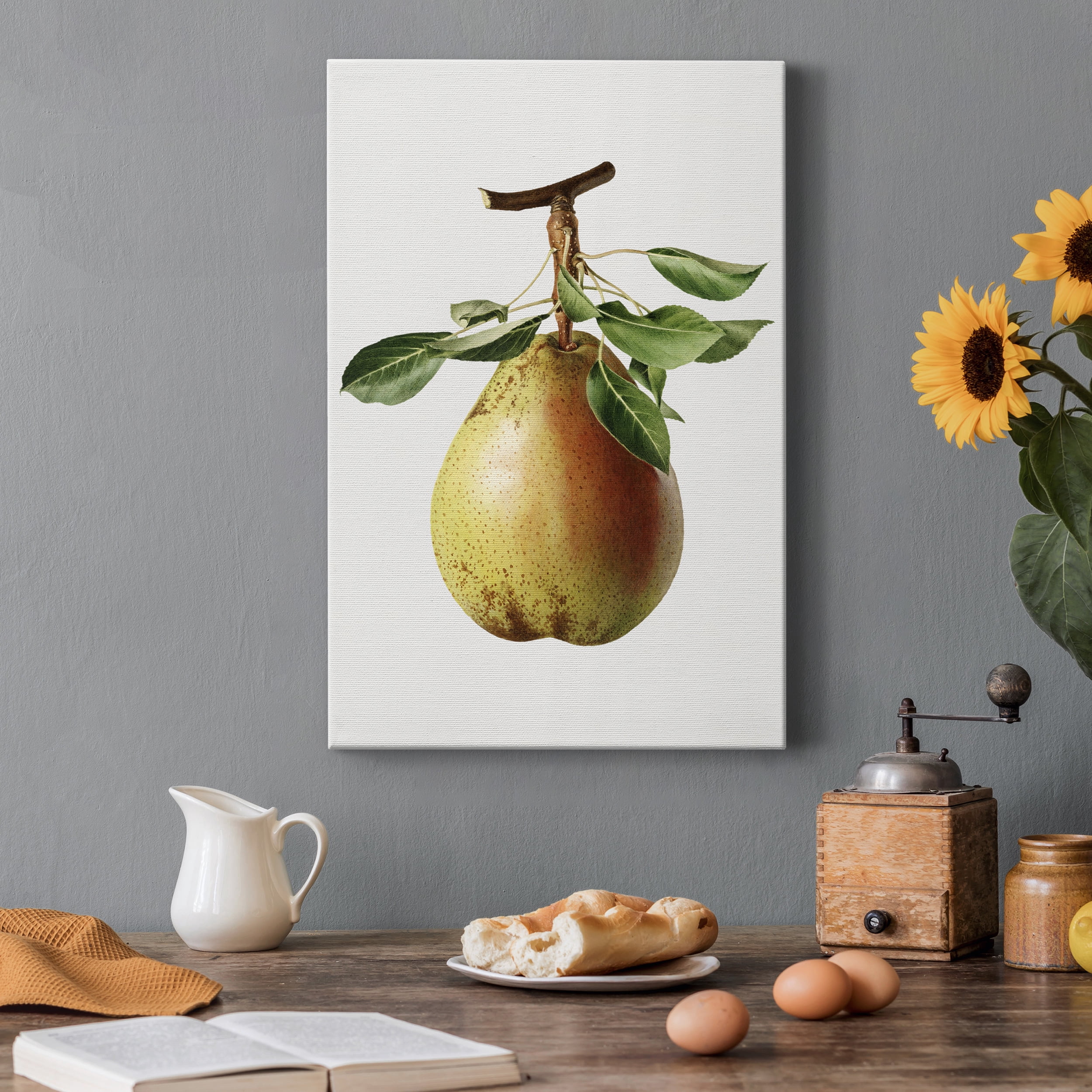 Vintage Pear Illustration II Premium Gallery Wrapped Canvas - Ready to Hang - 40 x 60
