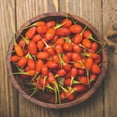 thumbnail image 5 of TomorrowSeeds - Goji Berry Tree Seeds - 200+ Count - For 2026 Planting Lycium Chinense Superfood, 5 of 7