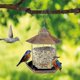 thumbnail image 4 of Bird Feeder, Hanging Feeder, Wild Bird Feeder, Bird Feeder, Bird Feeder, Natural Garden And Balcony Design-9 Banmo, 4 of 4