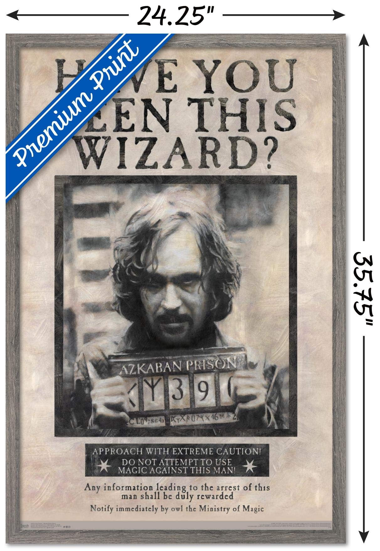 HARRY POTTER16744 - FRENCH