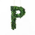thumbnail image 1 of Modern Home 12" Real Preserved Boxwood Monogram Wreath Letters - P, 1 of 2